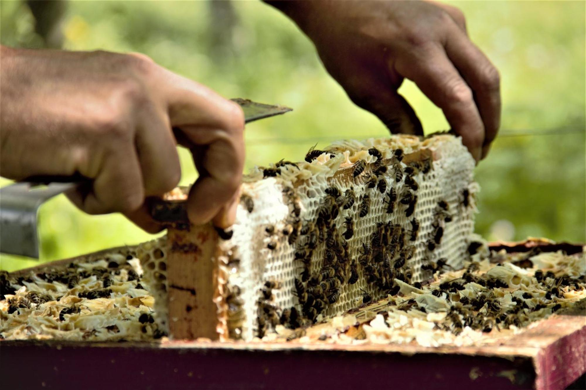 Agritur Ca' De Mel Βίλα Fiavè Εξωτερικό φωτογραφία